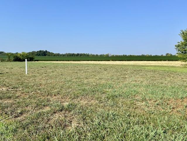 Land for sale in Simpson, Kentucky