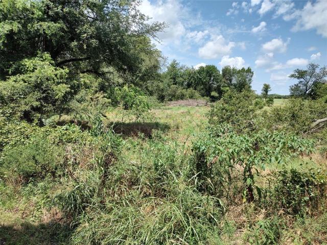 Land for sale in Brashear, Texas