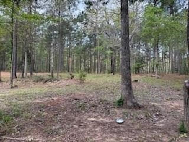 Land for sale in Nacogdoches, Texas