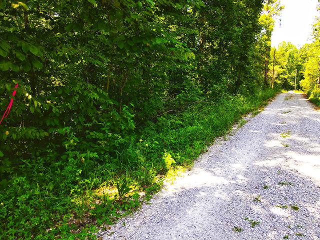 Farm for sale in Monticello, Kentucky