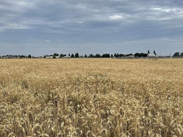 Land for sale in Medical Lake, Washington