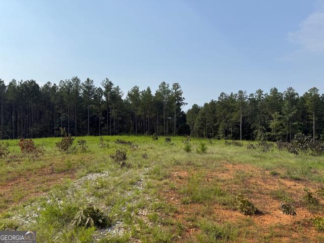 Land for sale in Georgia
