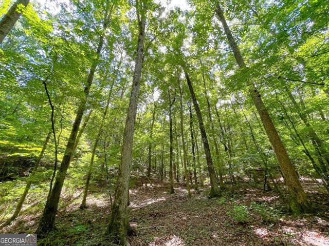 Land for sale in Gordon, Georgia