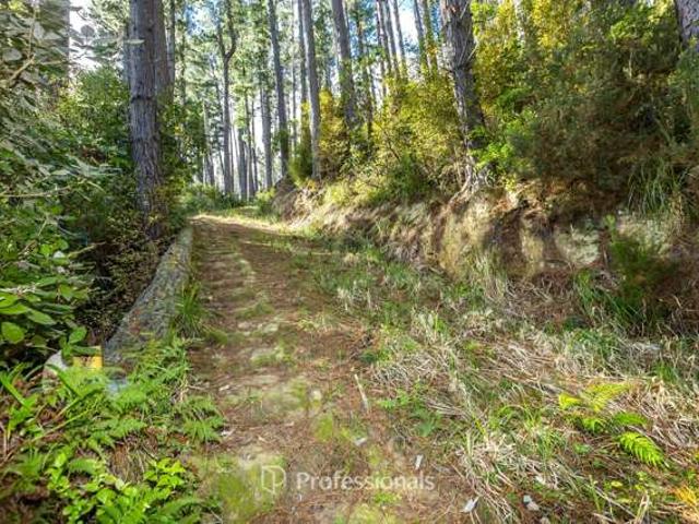 Land for sale in Pauatahanui, Wellington
