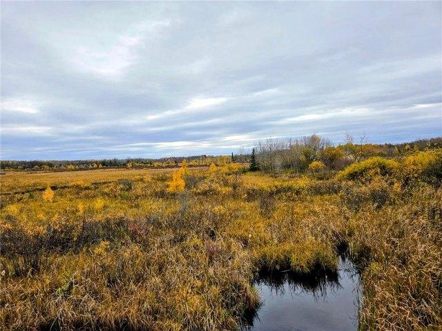 Land for sale in Beltrami, Minnesota
