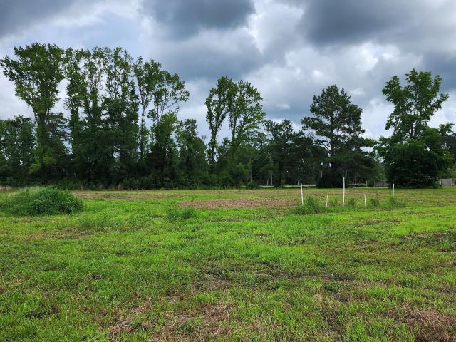 House for sale in Chadbourn, North Carolina