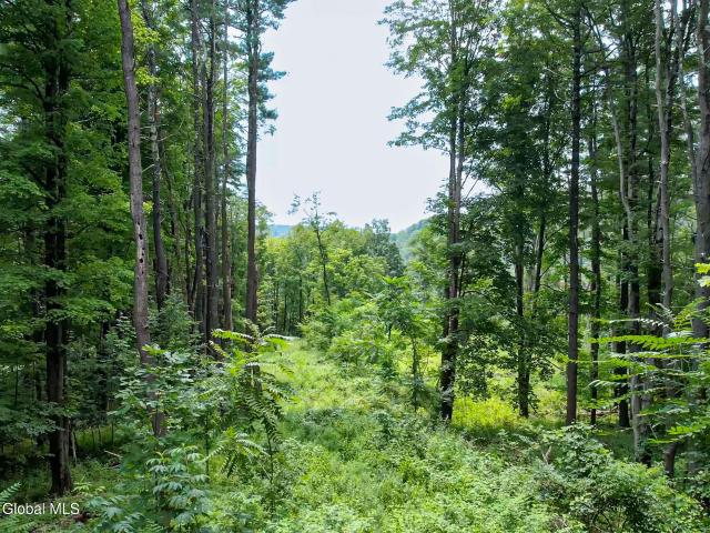 Land for sale in Alcove, New York