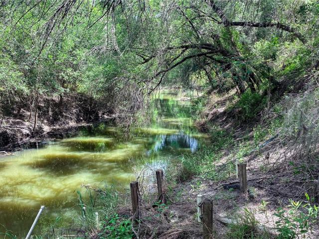 Land for sale in Three Rivers, Texas
