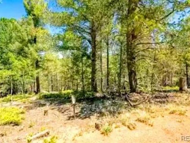 Land for sale in Cripple Creek, Teller County