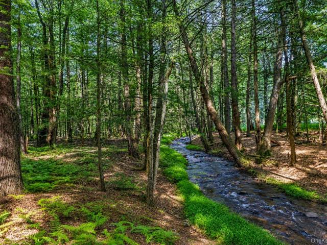 House for sale in Bethel, New York