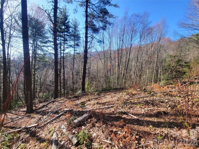 Land for sale in Haywood, North Carolina