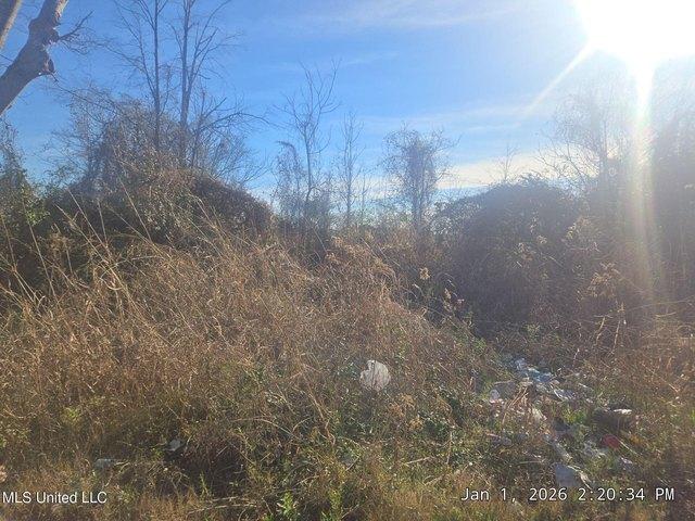 Land for sale in Sunflower, Mississippi