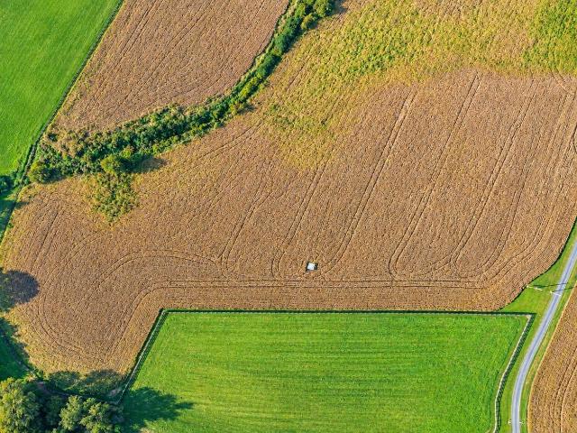 Land for sale in Russell Springs, Russell County