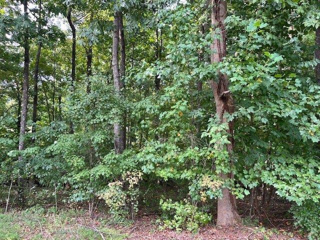 Land for sale in Westminster, Oconee County