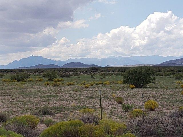Land for sale in New Mexico