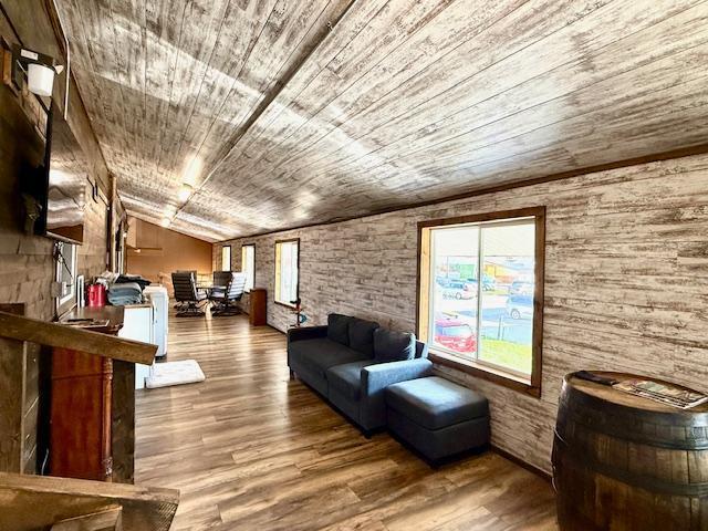 Commercial for sale in Caledonia, Minnesota
