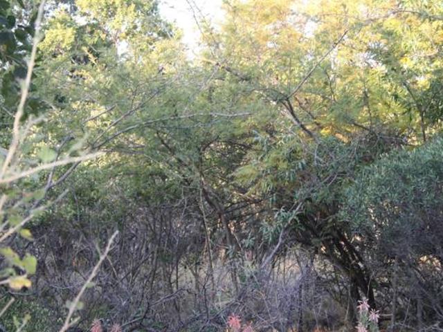 Land for sale in Groblersdal, Limpopo