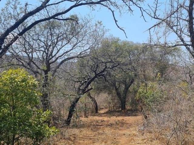 Land for sale in Groblersdal, Limpopo