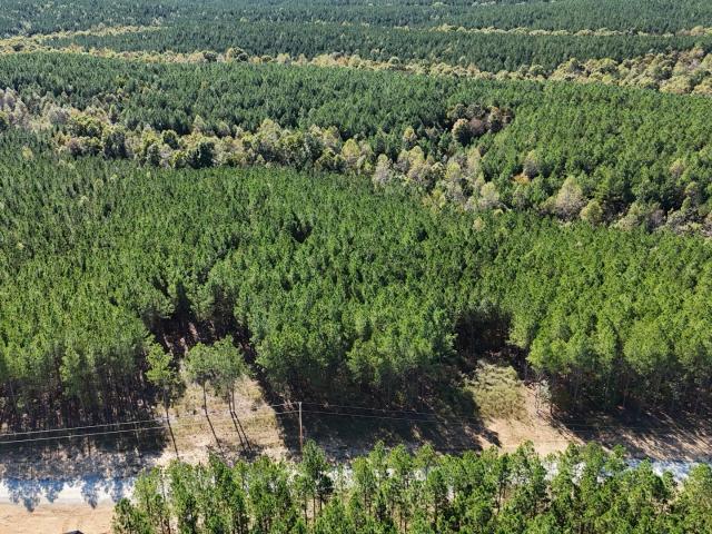Land for sale in Tennessee