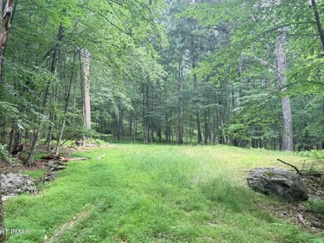 Land for sale in Hawley, Pennsylvania