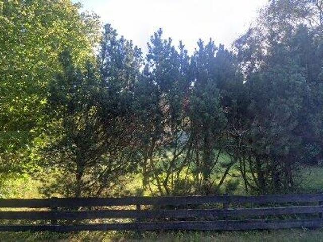 Lejlighed til salg i Liseleje, Brøndby