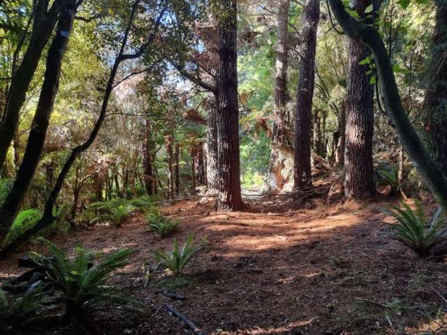 Land for sale in Southland