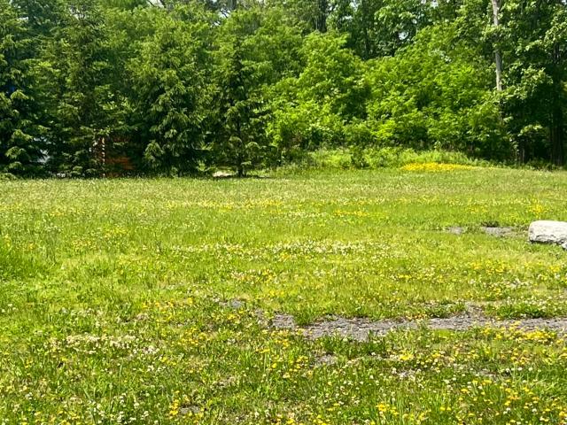 Land for sale in Coxsackie, New York