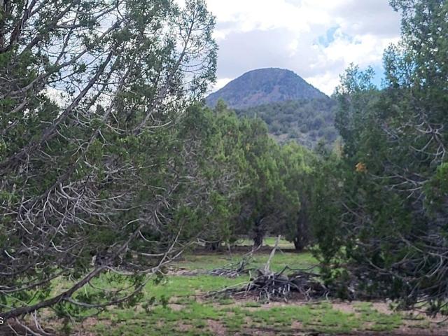 Land for sale in Williams, Arizona