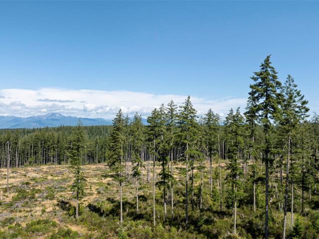 Land for sale in Belfair, Washington