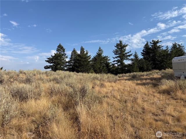 Land for sale in Oroville, Okanogan County