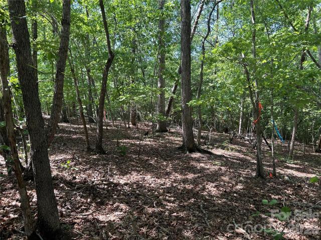 Land for sale in Troy, North Carolina
