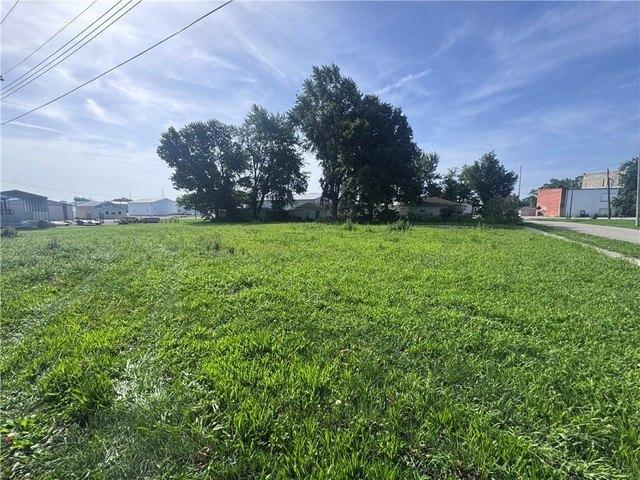 Land for sale in Ashmore, Illinois