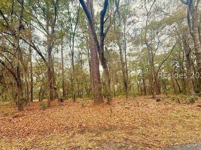 Land for sale in Island, Kentucky