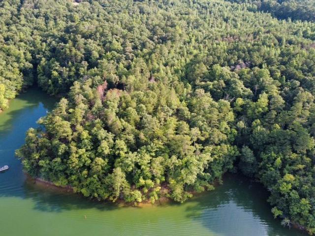 Land for sale in Jasper, Alabama