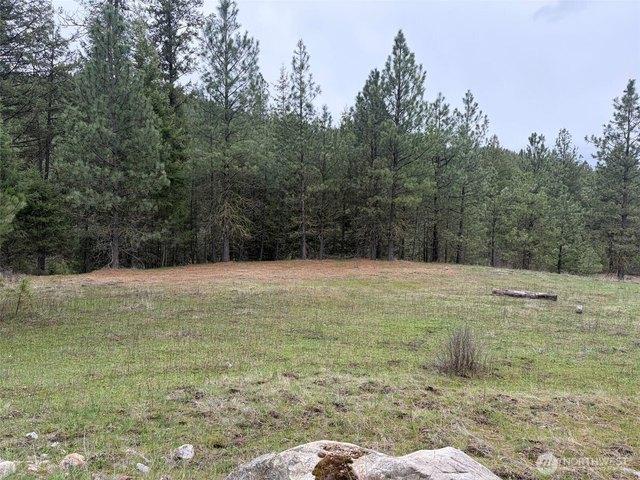 Land for sale in Republic, Washington