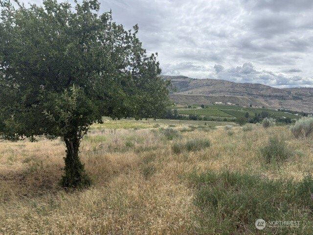 Land for sale in Tonasket, Washington