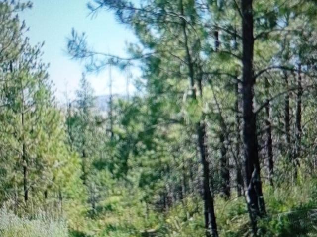 Land for sale in Tonasket, Washington