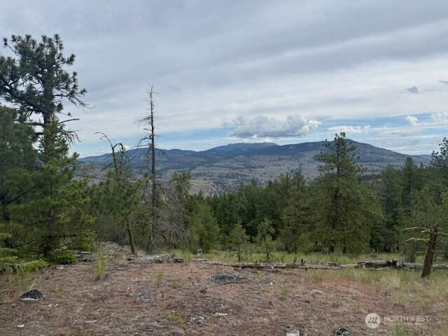 Land for sale in Tonasket, Washington