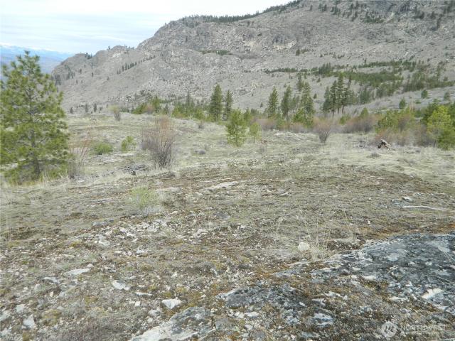Land for sale in Tonasket, Washington