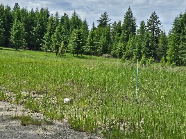 Land for sale in Tonasket, Okanogan County