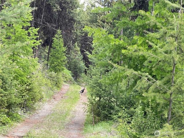 Land for sale in Oroville, Washington