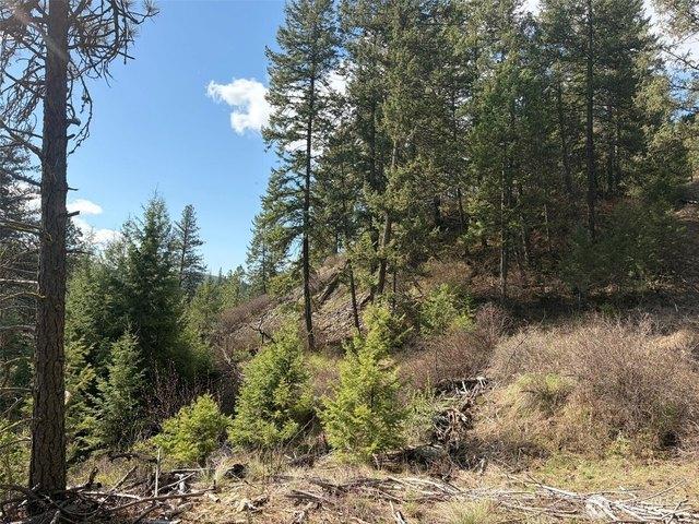 Land for sale in Republic, Washington