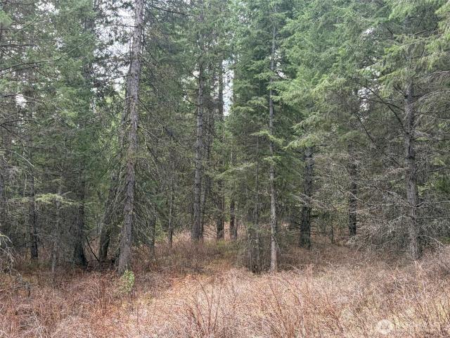 Land for sale in Republic, Washington