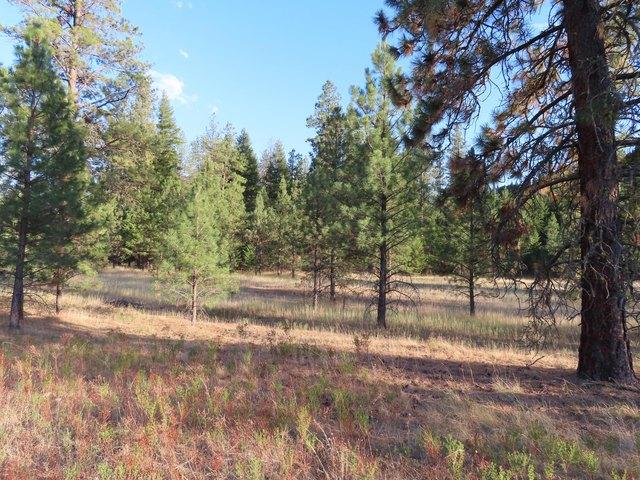 Land for sale in Washington