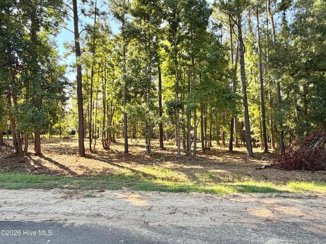 Land for sale in Waynesboro, Georgia