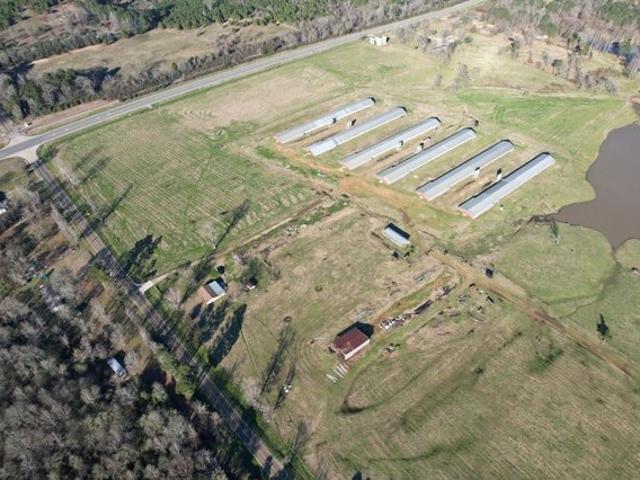 Farm for sale in Joaquin, Shelby County