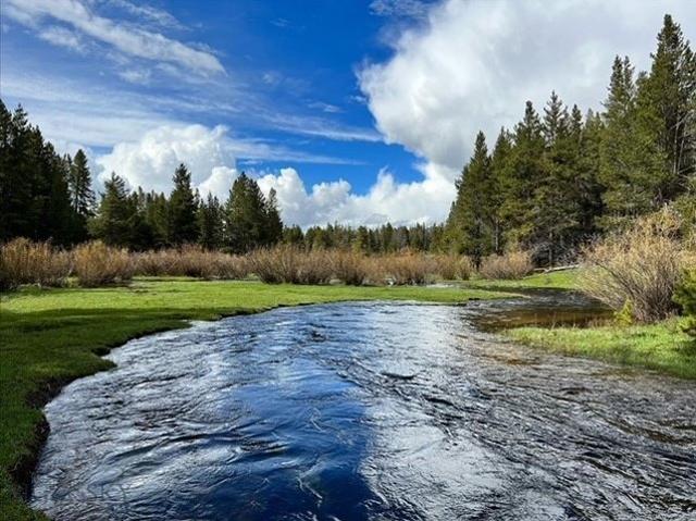 Farm for sale in Montana