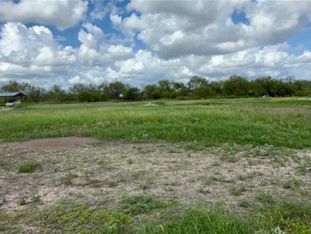 Land for sale in Elsa, Hidalgo County