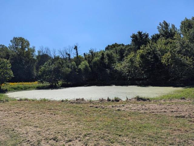 House for sale in Lone Jack, Missouri