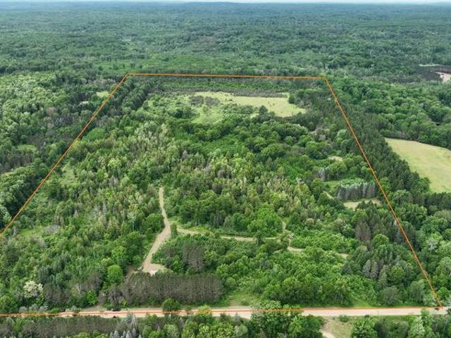 Land for sale in Gladwin